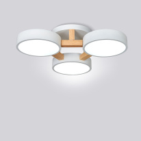 Фото Накладная люстра ImperiumLoft 101699-26