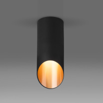 Купить Накладной светильник Elektrostandard DLN114 GU10 черный/золото