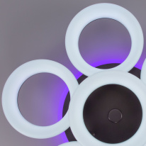 Цена на Накладной светильник Citilux CL225A190E