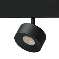 Фото ARTE Lamp A4771PL-1BK