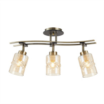 Фото Спот Citilux CL142134