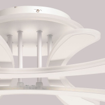 Купить с доставкой по Москве и России Накладная люстра DeMarkt 510014105