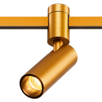 Купить Светильник на шине ST-Luce ST811.206.05