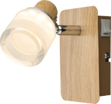 Фото Спот Globo 56000-1