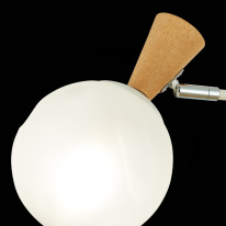 Купить с доставкой по Москве и России Люстра на штанге Evoluce SLE220702-03