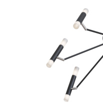 Купить Накладная люстра Maytoni MOD620CL-16B