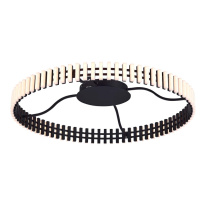 Фото Накладная люстра ST-Luce SL6203.402.50