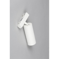 Цена на Светильник на шине APLOYT APL.0114.10.18