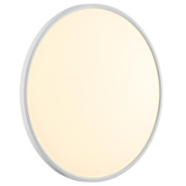 Купить с доставкой по Москве и России Накладной светильник Sonex 7659/48L