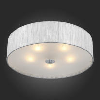 Накладной светильник ST-Luce SL357.102.05 Цена на Накладной светильник ST-Luce SL357.102.05