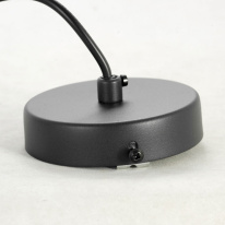 Купить с доставкой по Москве и России Подвесной светильник Lussole LSP-8498