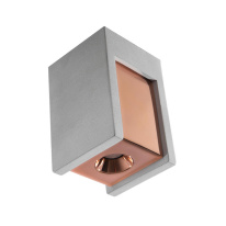 Накладной светильник LOFT IT OL1073-GG Фото Накладной светильник LOFT IT OL1073-GG