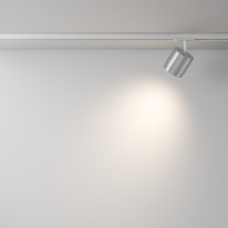 Светильник на шине Maytoni Technical TR088-1-GX53-S в интернет магазине Гет Лайт