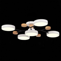 Купить с доставкой по Москве и России Люстра на штанге Evoluce SLE6006-502-05