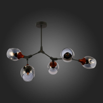 Купить Люстра на штанге Evoluce SLE113402-05