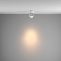 Спот Maytoni Technical C084CL-15W3K-D-W в интернет магазине Гет Лайт