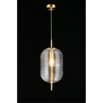 Купить с доставкой по Москве и России Подвесной светильник APLOYT APL.316.16.01