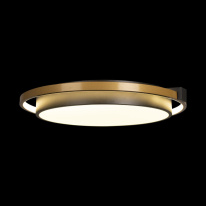 Цена на Накладной светильник LOFT IT 10170