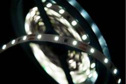 Цена на Лента SWG SWG260-12-4.8-W