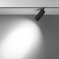 Цена на Светильник на шине Maytoni Technical TR032-2-20W4K-S-B