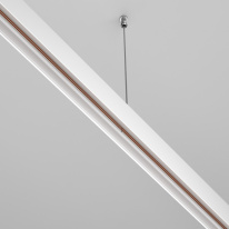 Купить с доставкой по Москве и России Соединитель для шинопровода Maytoni Technical TRA034C-21W