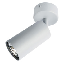 Спот ARTE Lamp A3216PL-1GY Фото Спот ARTE Lamp A3216PL-1GY