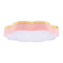 Купить Накладной светильник LOFT IT 10225/36 Pink