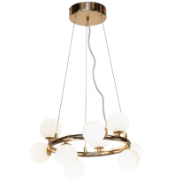 Фото  AM Group AM488 GOLD D500