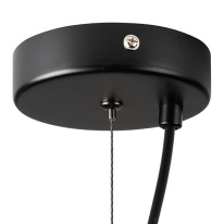 Цена на Подвесной светильник Lightstar 803116