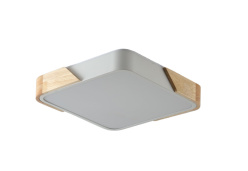 Купить с доставкой по Москве и России Накладной светильник Zortes ZRS.01285.36