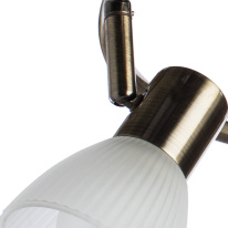 Спот ARTE Lamp A5062PL-3AB Купить Спот ARTE Lamp A5062PL-3AB