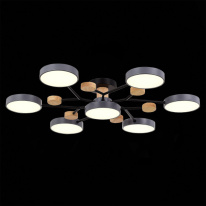 Купить с доставкой по Москве и России Люстра на штанге Evoluce SLE6006-702-07