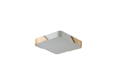 Накладной светильник Zortes ZRS.01285.60 в интернет магазине Гет Лайт