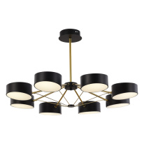 Фото Люстра на штанге Evoluce SLE6005-402-08