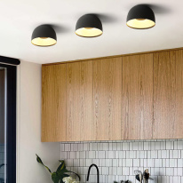 Купить с доставкой по Москве и России Накладной светильник ImperiumLoft 184476-26