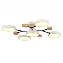 Купить Люстра на штанге Evoluce SLE6006-502-05