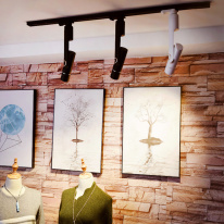 Светильник на шине ARTE Lamp A2512PL-1WH Купить с доставкой по Москве и России Светильник на шине ARTE Lamp A2512PL-1WH