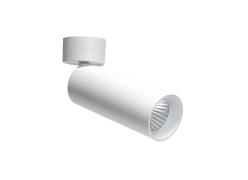 Фото Спот Donolux DL18895R10W1W ST