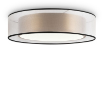 Накладной светильник Freya FR6005CL-L36G Фото Накладной светильник Freya FR6005CL-L36G