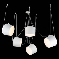 Купить Подвесной светильник Evoluce SLE120653-05