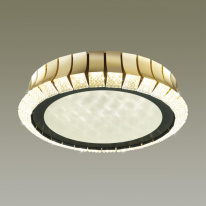 Купить Накладной светильник Odeon Light 4994/75L