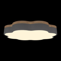 Цена на Накладной светильник LOFT IT 10225/36 Grey