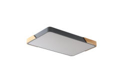 Накладной светильник Zortes ZRS.01277.60 Накладной светильник Zortes ZRS.01277.60 в интернет магазине Гет Лайт