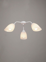 Фото Накладная люстра Vitaluce V31950/3PL