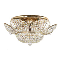 Фото Накладная люстра Arti Lampadari Alassio E 1.2.50.600 G