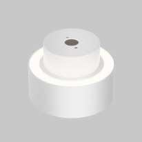 Купить с доставкой по Москве и России Накладной светильник Maytoni Technical C092CL-GX53-W