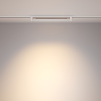 Цена на Светильник на шине Maytoni Technical TR010-1-20W3K-M-W