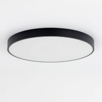 Купить с доставкой по Москве и России Накладной светильник Citilux CL724105G1