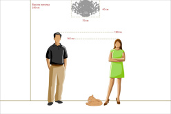 Цена на Накладная люстра Chiaro 383010106