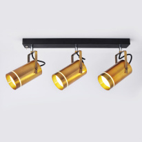 Спот Eurosvet 20063/3 LED античная бронза в интернет магазине Гет Лайт